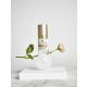 Eye Contour Cream